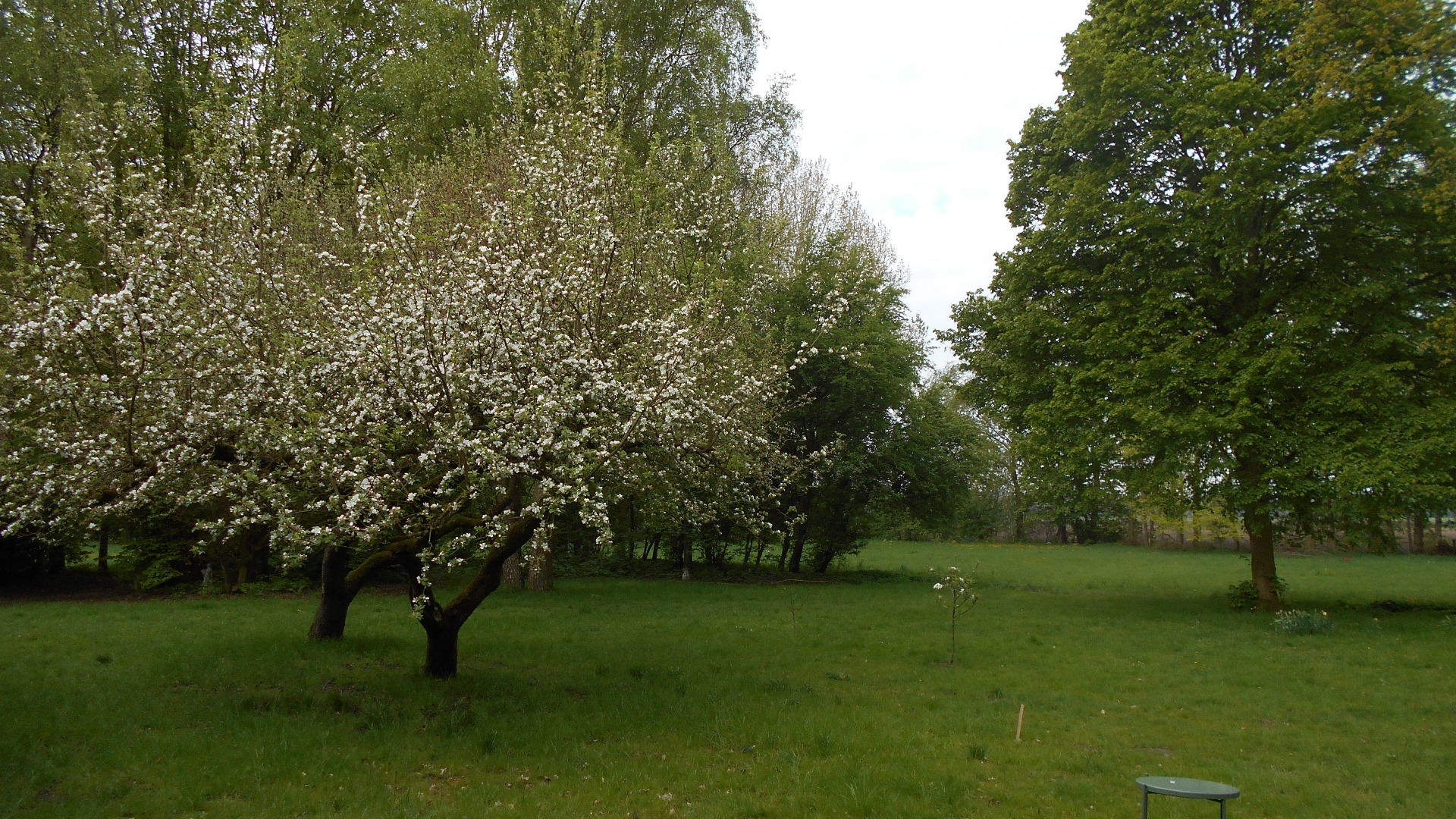 april 2018 westzijde